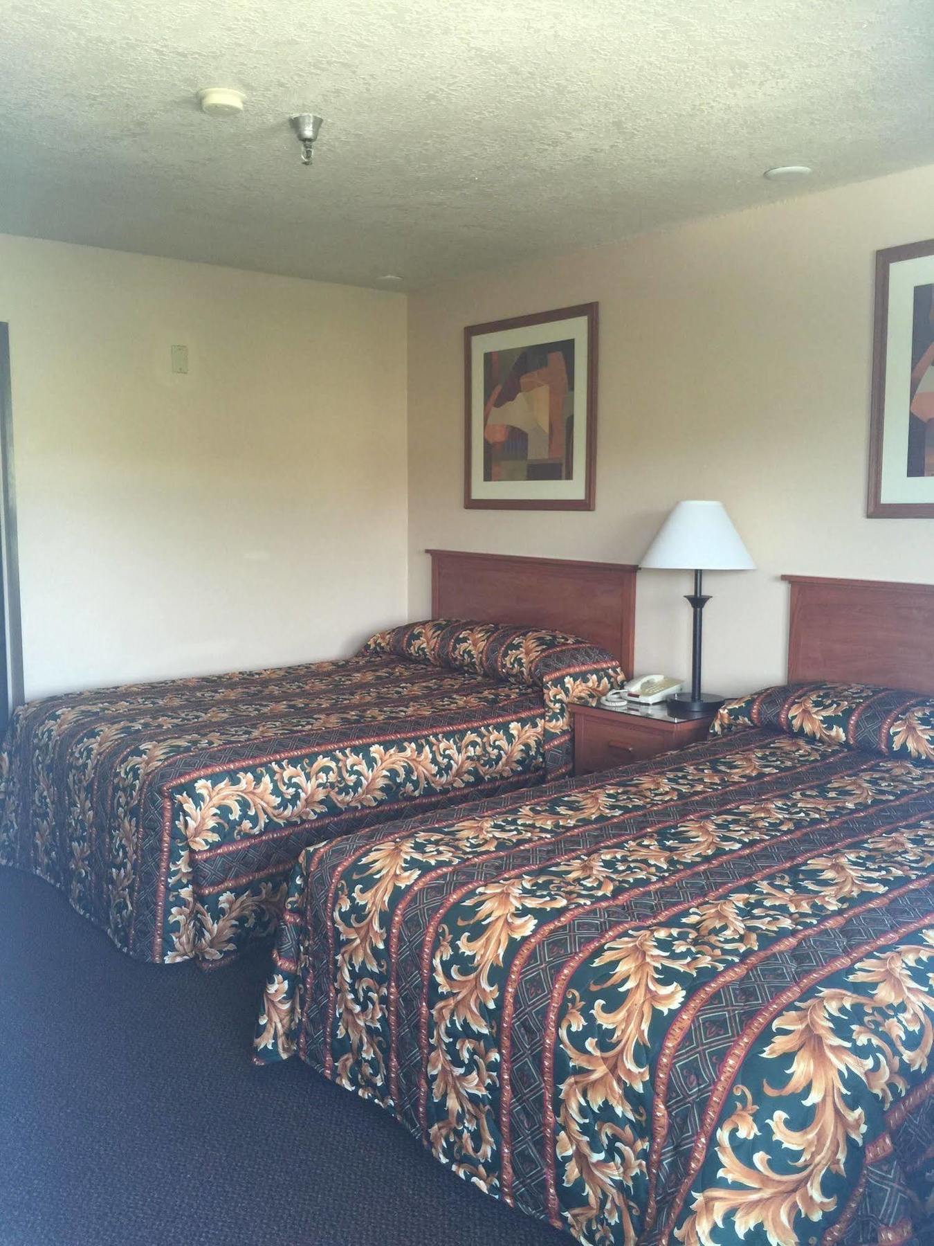Riverleaf Inn Mission Valley San Diego Kültér fotó